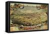 1885, Phoenix Bird's Eye View, Arizona, United States-null-Framed Stretched Canvas