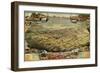 1885, Phoenix Bird's Eye View, Arizona, United States-null-Framed Giclee Print