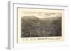 1885, Rutland Bird's Eye View, Vermont, United States-null-Framed Giclee Print