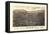 1885, Rutland Bird's Eye View, Vermont, United States-null-Framed Stretched Canvas