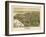 1886, Beverly Bird's Eye View, Massachusetts, United States-null-Framed Giclee Print