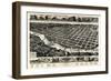 1886, Columbus Bird's Eye View, Georgia, United States-null-Framed Giclee Print