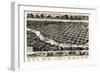 1886, Columbus Bird's Eye View, Georgia, United States-null-Framed Giclee Print