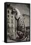 1886 Flammarion's Iguanodon Dinosaur-Stewart Stewart-Framed Stretched Canvas