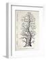 1886 French Copy Haeckel 'tree of Life'-Stewart Stewart-Framed Photographic Print