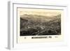 1886, Middlebury 1886c Bird's Eye View, Vermont, United States-null-Framed Giclee Print