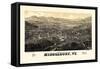 1886, Middlebury 1886c Bird's Eye View, Vermont, United States-null-Framed Stretched Canvas