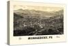 1886, Middlebury 1886c Bird's Eye View, Vermont, United States-null-Stretched Canvas