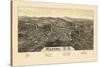 1886, Milford Bird's Eye View, New Hampshire, United States-null-Stretched Canvas