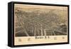 1886, Rome 1886 Bird's Eye View, New York, United States-null-Framed Stretched Canvas