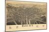 1886, Rome 1886 Bird's Eye View, New York, United States-null-Mounted Giclee Print