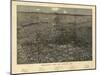 1887, Denver Bird's Eye View, Colorado, United States-null-Mounted Giclee Print