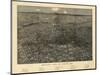 1887, Denver Bird's Eye View, Colorado, United States-null-Mounted Giclee Print