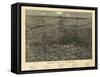 1887, Denver Bird's Eye View, Colorado, United States-null-Framed Stretched Canvas