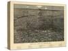 1887, Denver Bird's Eye View, Colorado, United States-null-Stretched Canvas