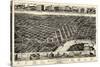 1887, Montgomery Bird's Eye View, Alabama, United States-null-Stretched Canvas