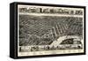 1887, Montgomery Bird's Eye View, Alabama, United States-null-Framed Stretched Canvas