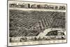 1887, Montgomery Bird's Eye View, Alabama, United States-null-Mounted Giclee Print