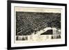 1887, Selma Bird's Eye View, Alabama, United States-null-Framed Giclee Print