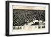 1887, Selma Bird's Eye View, Alabama, United States-null-Framed Giclee Print