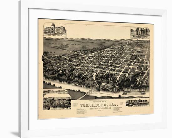 1887, Tuskaloosa Bird's Eye View, Alabama, United States-null-Framed Giclee Print