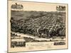 1887, Tuskaloosa Bird's Eye View, Alabama, United States-null-Mounted Giclee Print