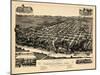 1887, Tuskaloosa Bird's Eye View, Alabama, United States-null-Mounted Giclee Print