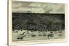 1889, Detroit Bird's Eye View, Michigan, United States-null-Stretched Canvas