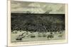1889, Detroit Bird's Eye View, Michigan, United States-null-Mounted Giclee Print