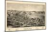 1889, Fonda Bird's Eye View, New York, United States-null-Mounted Giclee Print