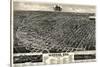 1889, Lincoln 1889 Bird's Eye View, Nebraska, United States-null-Stretched Canvas