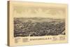 1889, Schuylerville 1889 Bird's Eye View, New York, United States-null-Stretched Canvas