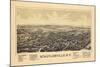 1889, Schuylerville 1889 Bird's Eye View, New York, United States-null-Mounted Giclee Print