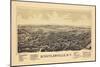 1889, Schuylerville 1889 Bird's Eye View, New York, United States-null-Mounted Giclee Print