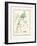 1889, Sudbury 2, Massachusetts, United States-null-Framed Giclee Print