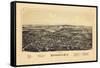 1890, Rhinebeck 1890 Bird's Eye View, New York, United States-null-Framed Stretched Canvas