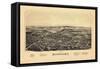 1890, Rhinebeck 1890 Bird's Eye View, New York, United States-null-Framed Stretched Canvas