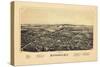 1890, Rhinebeck 1890 Bird's Eye View, New York, United States-null-Stretched Canvas