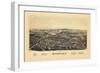 1890, Rhinebeck 1890 Bird's Eye View, New York, United States-null-Framed Premium Giclee Print