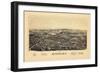 1890, Rhinebeck 1890 Bird's Eye View, New York, United States-null-Framed Giclee Print