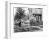 1890s 1900s MAN DRIVER STANDING BY HORSE DRAWN CARRIAGE BAKERY DELIVERY CART-Panoramic Images-Framed Photographic Print