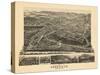 1891, Asheville Bird's Eye View, North Carolina, United States-null-Stretched Canvas