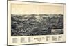 1891, Barre Bird's Eye View, Vermont, United States-null-Mounted Giclee Print