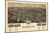1891, Bedford City Bird's Eye View, Virginia, United States-null-Mounted Giclee Print