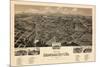 1891, Bedford City Bird's Eye View, Virginia, United States-null-Mounted Giclee Print