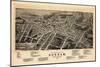 1891, Durham Bird's Eye View, North Carolina, United States-null-Mounted Giclee Print