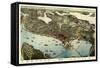 1891, Seattle Bird's Eye View, Washington, United States-null-Framed Stretched Canvas