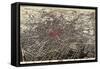 1892, Atlanta Bird's Eye View, Georgia, United States-null-Framed Stretched Canvas