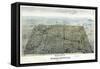 1892, DeKalb Bird's Eye View, Illinois, United States-null-Framed Stretched Canvas