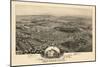 1892, Edwardsville Bird's Eye View, Pennsylvania, United States-null-Mounted Giclee Print